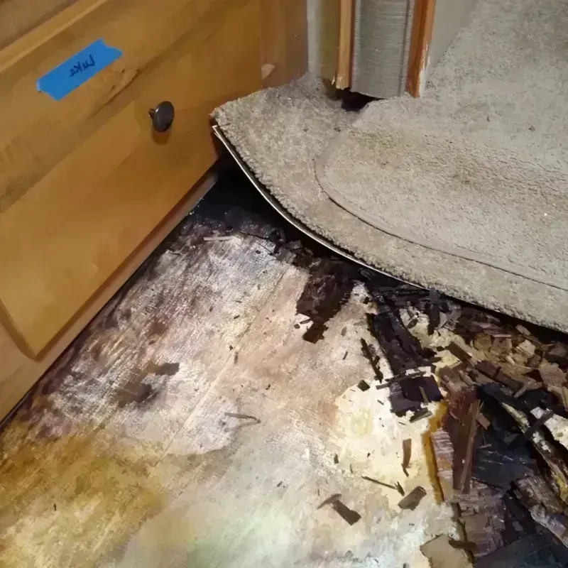 Wood Floor Water Damage in King, NC